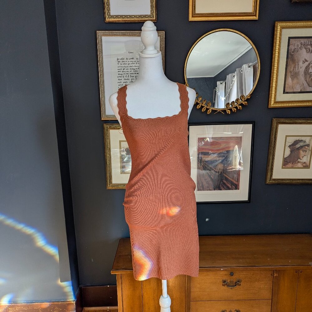 NWT Wilfred Anise Brown Dress Size Large
